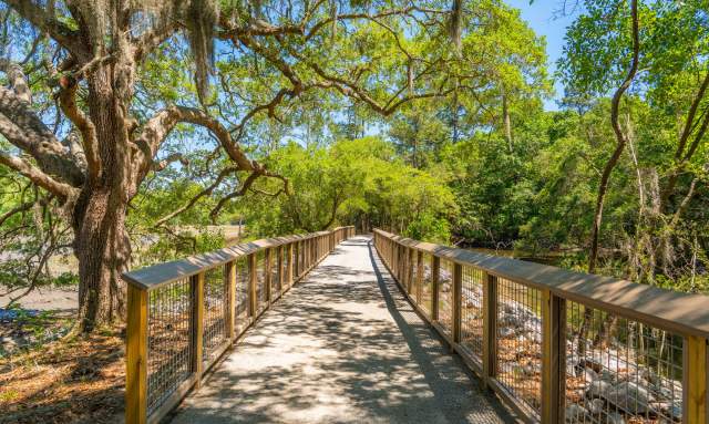 Nature Ramble