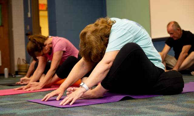 Gentle Yoga Flow