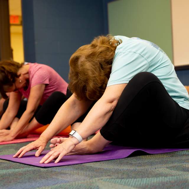 Gentle Yoga Flow