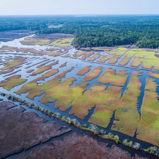 Introduction to the Stono Rebellion Landscape
