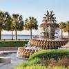 Charleston Pineapple Fountain
