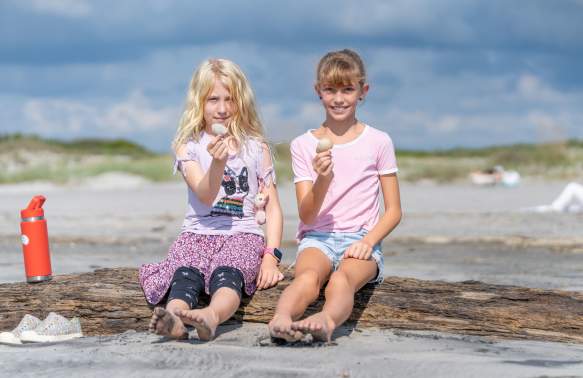Enrich Your Summer Camp