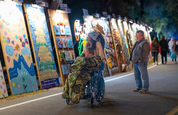 Holiday Festival of Lights Accessibility