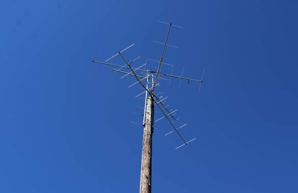 A New Chapter in Conservation: Motus Tower Installed at Caw Caw Interpretive Center