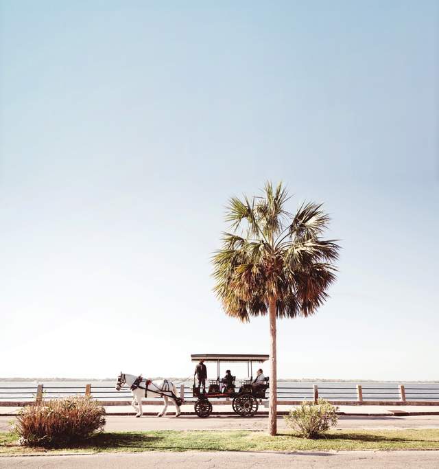 Battery Carriage Tour