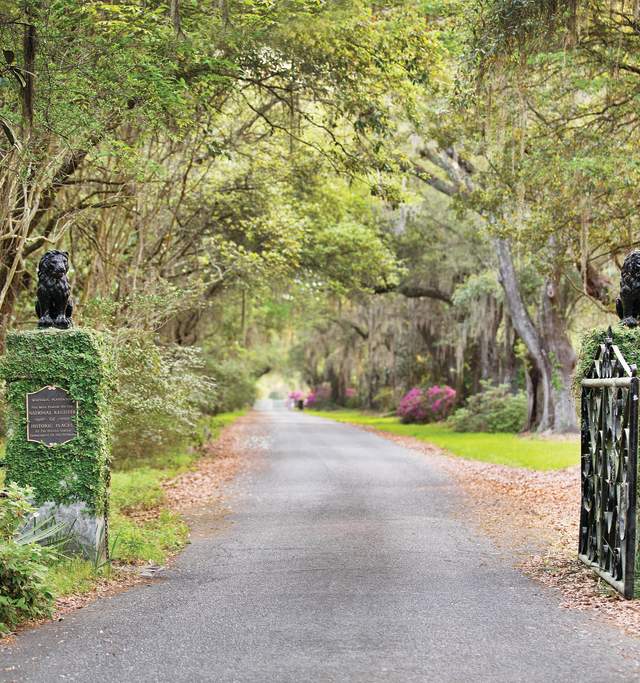 Magnolia Gate