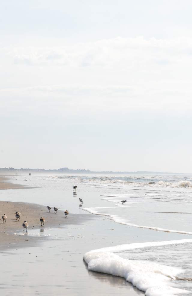 Beach Parks