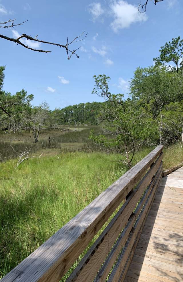 Meggett County Park Rules
