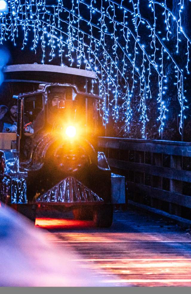 Festival Express Train Ride