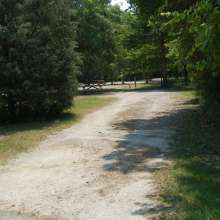 Site #105