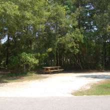 Site #107