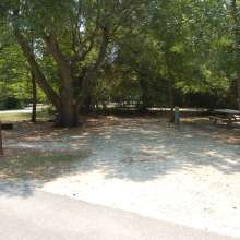 Site #109
