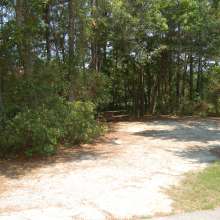 Site #110