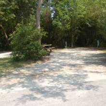 Site #118
