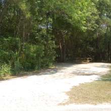 Site #119