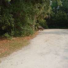 Site #11