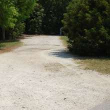 Site #124