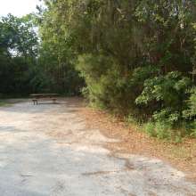 Site #19
