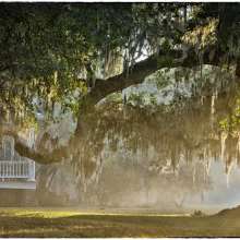 McLeod Plantation