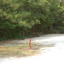 Site #20