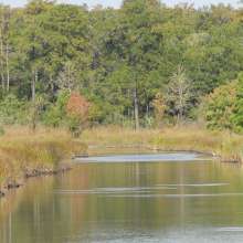 Ravenel Caw Caw Interpretive Center