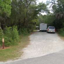 Site #29