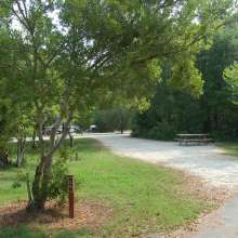 Site #35