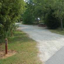 Site #37