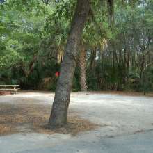 Site #45