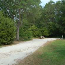 Site #54