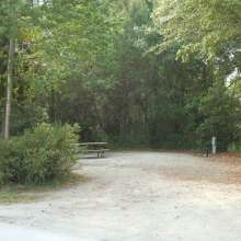 Site #5
