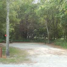 Site #6