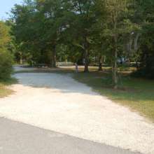 Site #77