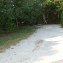 Site #79