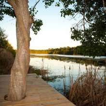The Lake House at Bulow