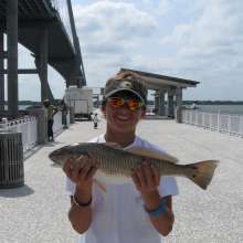 21-Inch Red Drum