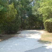 Site #80