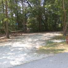 Site #81