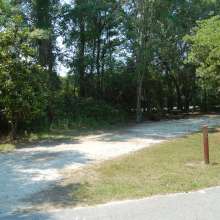 Site #83