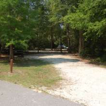 Site #86