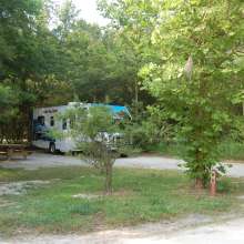 Site #8