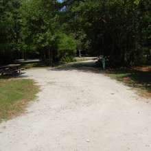 Site #91