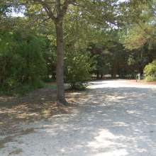 Site #93