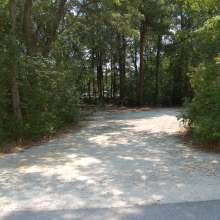 Site #98