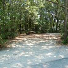 Site #99