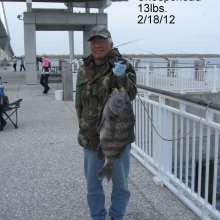 Record Sheepshead!