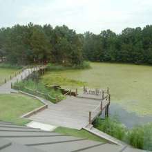 The Lake House at Bulow