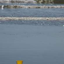 A Day at the Beach!