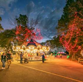 Holiday Festival of Lights Cedar Trees