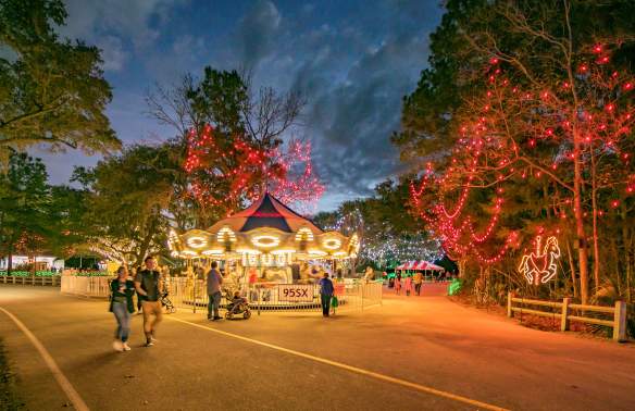 Holiday Festival of Lights Cedar Trees
